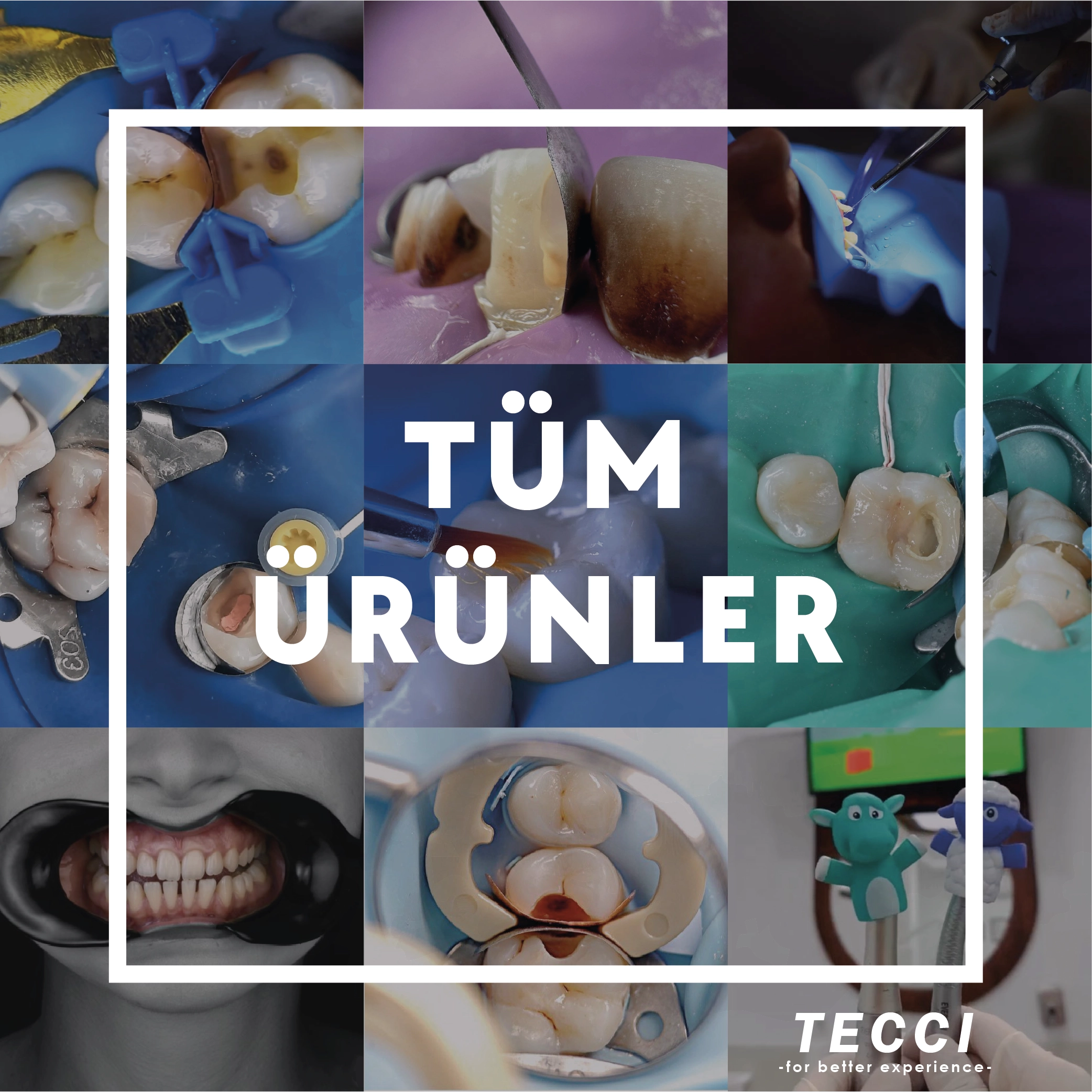 Tecci Tüm Ürünler
