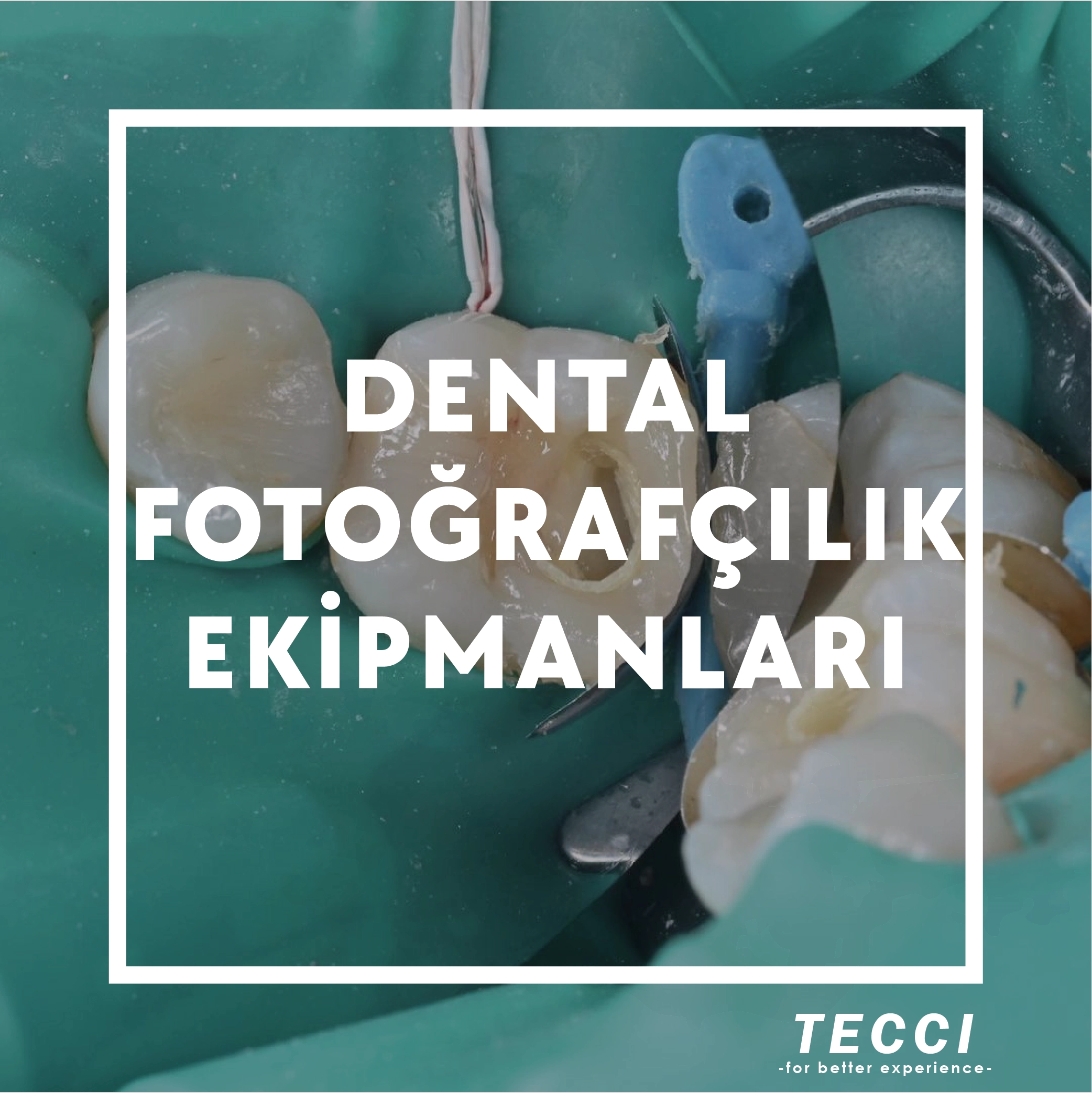 Tecci Dental Fotoğrafçılık Ekipmanları