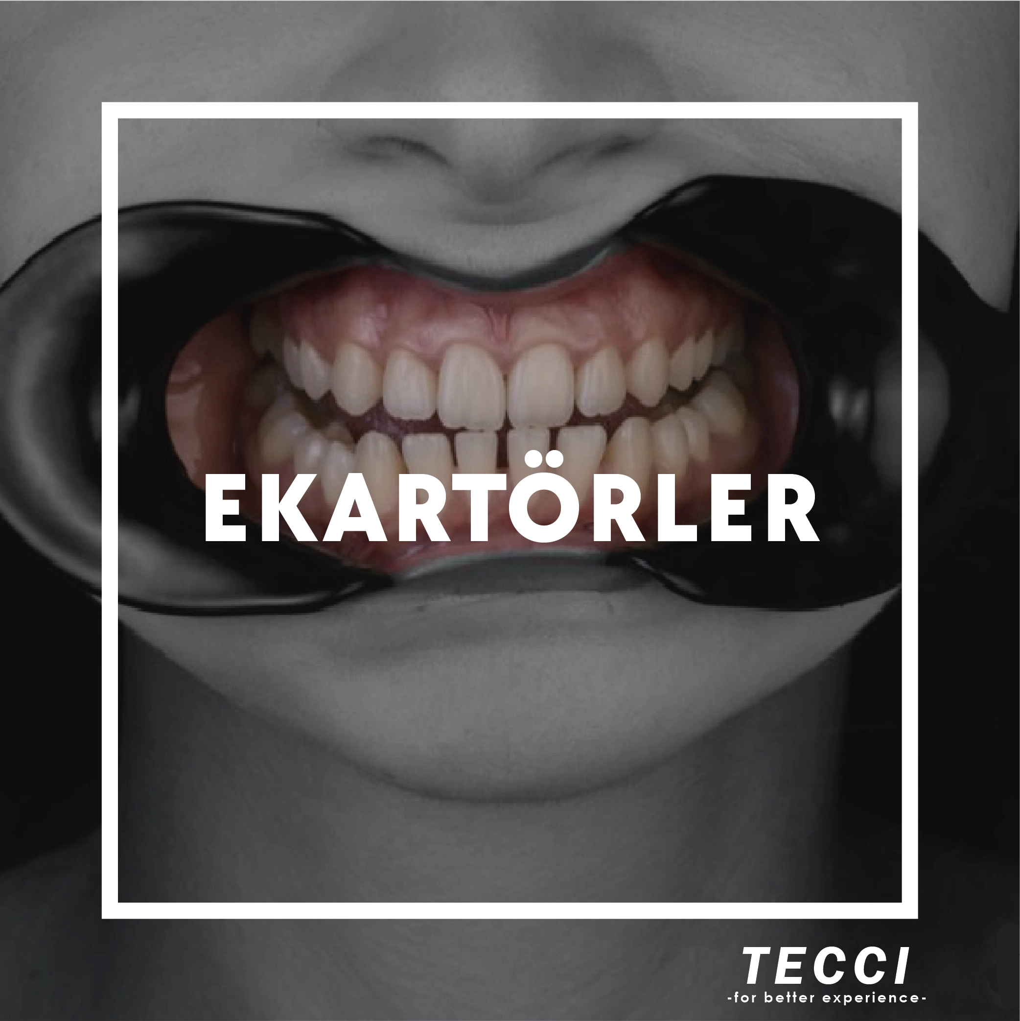 Tecci Ekartörler