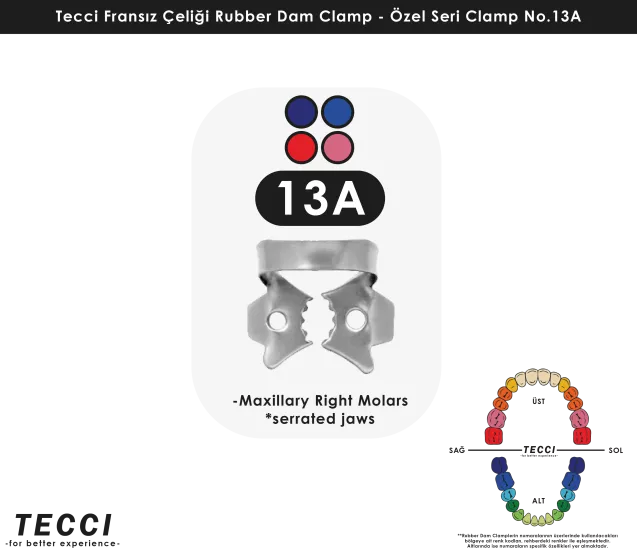 Tecci Fransız Çeliği Rubber Dam Clamp - No.13A