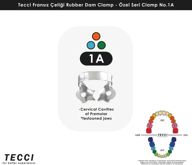 Tecci Fransız Çeliği Rubber Dam Clamp - No.1A