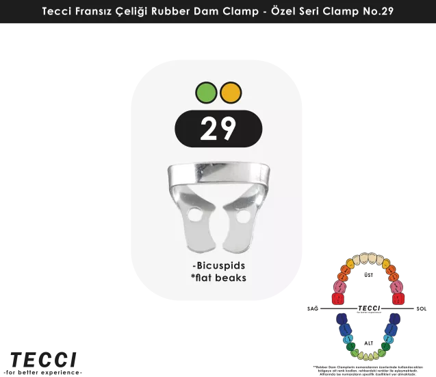 Tecci Fransız Çeliği Rubber Dam Clamp - No.29