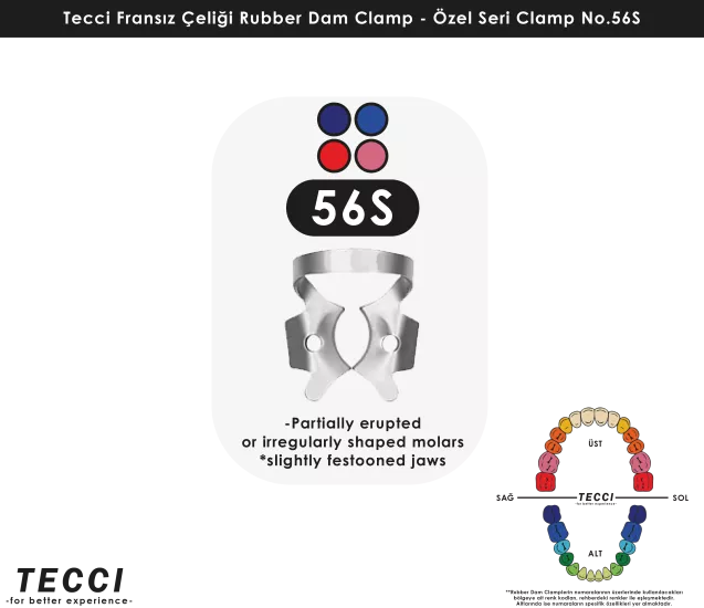 Tecci Fransız Çeliği Rubber Dam Clamp - No.56S