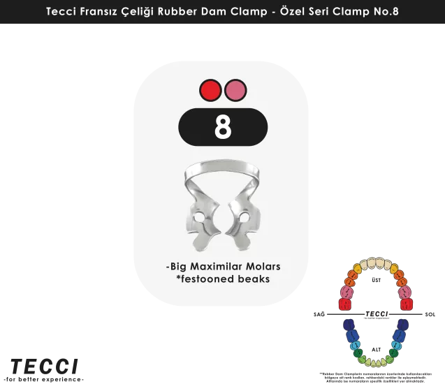Tecci Fransız Çeliği Rubber Dam Clamp - No.8
