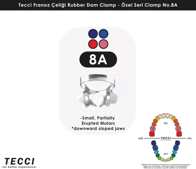 Tecci Fransız Çeliği Rubber Dam Clamp - No.8A