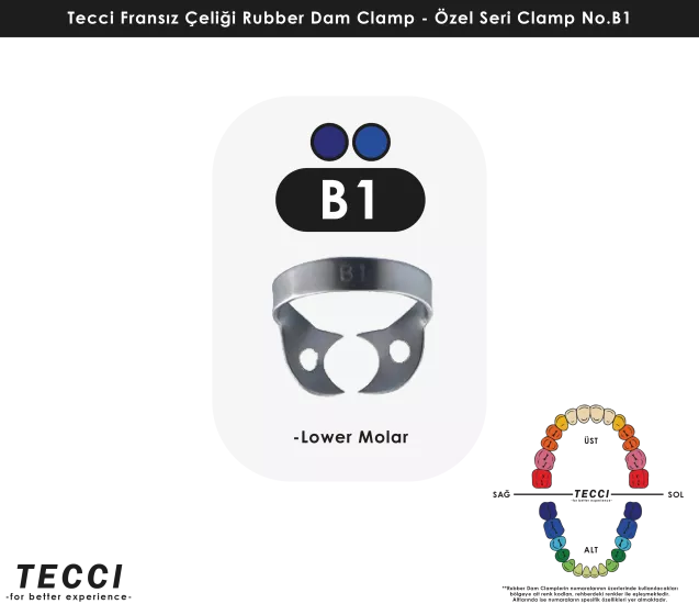 Tecci Fransız Çeliği Rubber Dam Clamp - No.B1