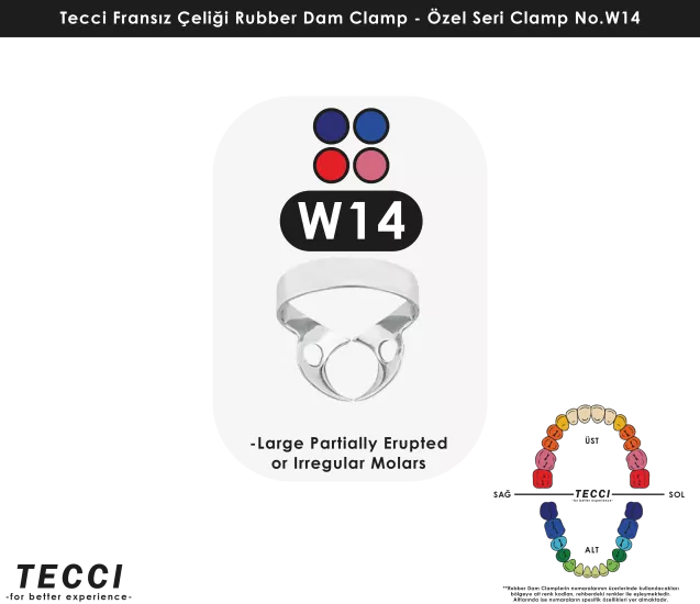 Tecci Fransız Çeliği Rubber Dam Clamp - No.W14