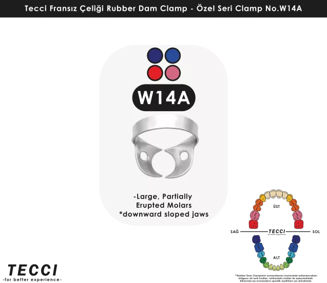 Tecci Fransız Çeliği Rubber Dam Clamp - No.W14A