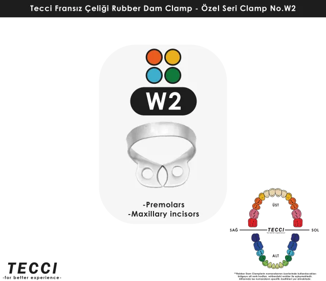 Tecci Fransız Çeliği Rubber Dam Clamp - No.W2