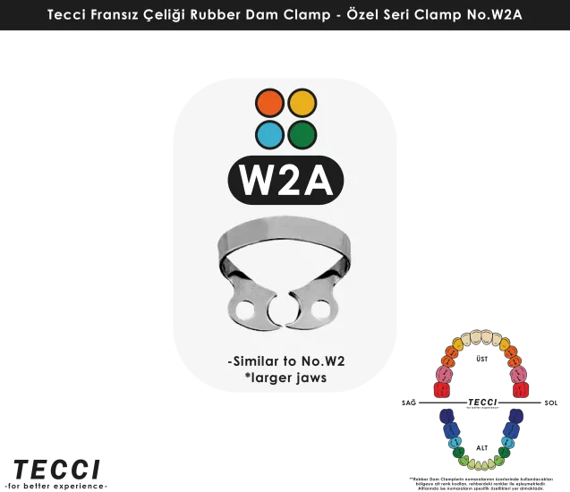 Tecci Fransız Çeliği Rubber Dam Clamp - No.W2A