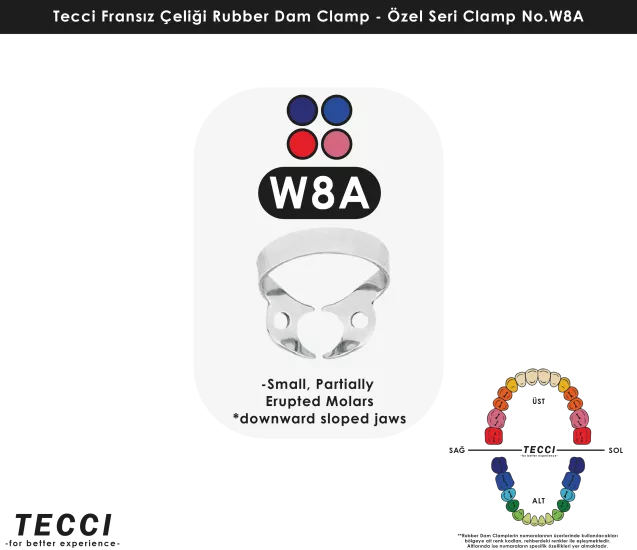 Tecci Fransız Çeliği Rubber Dam Clamp - No.W8A