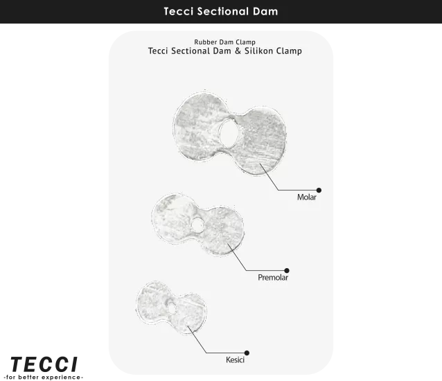 Tecci Sectional Dam