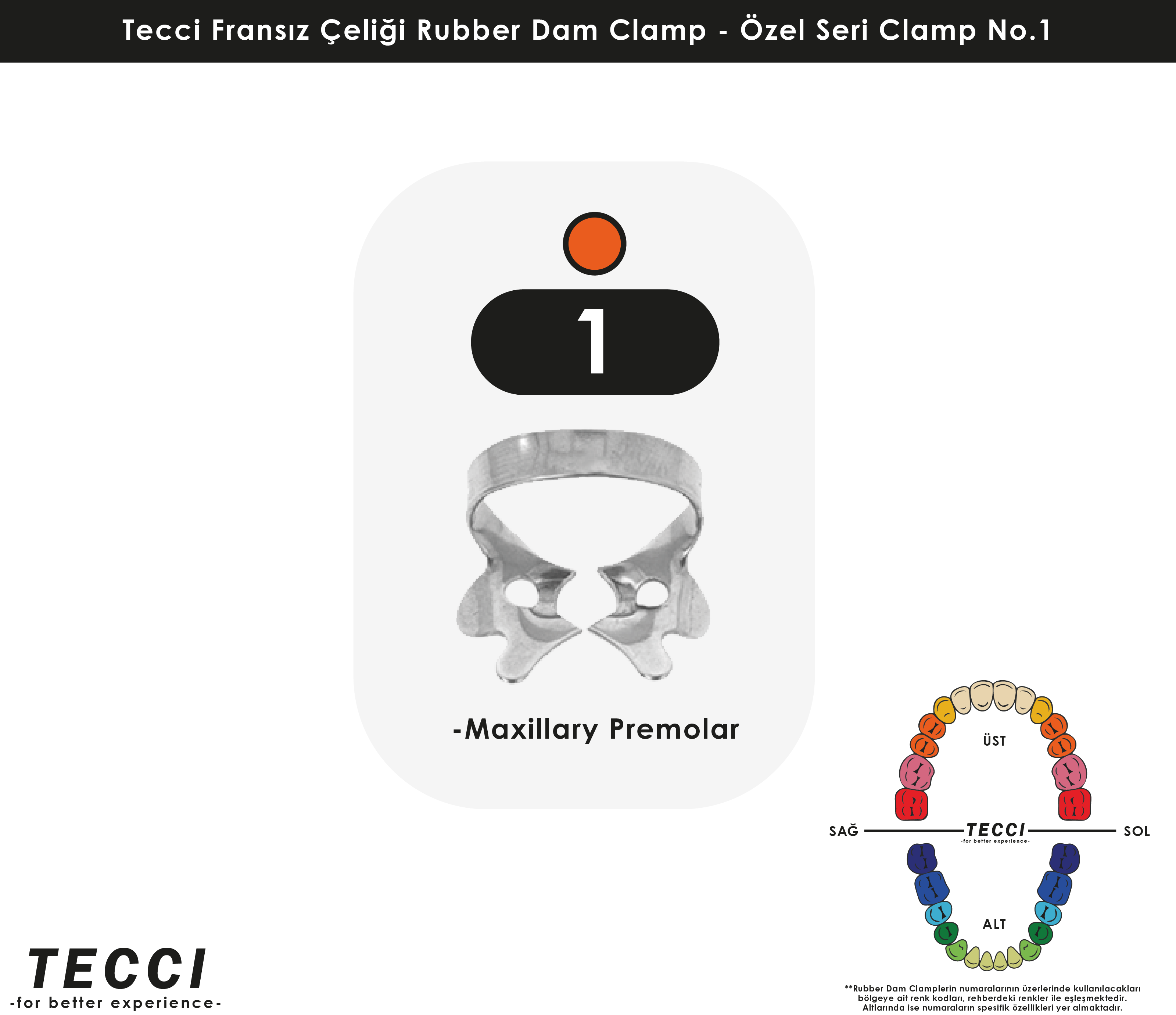 Tecci Fransız Çeliği Rubber Dam Clamp - No.1