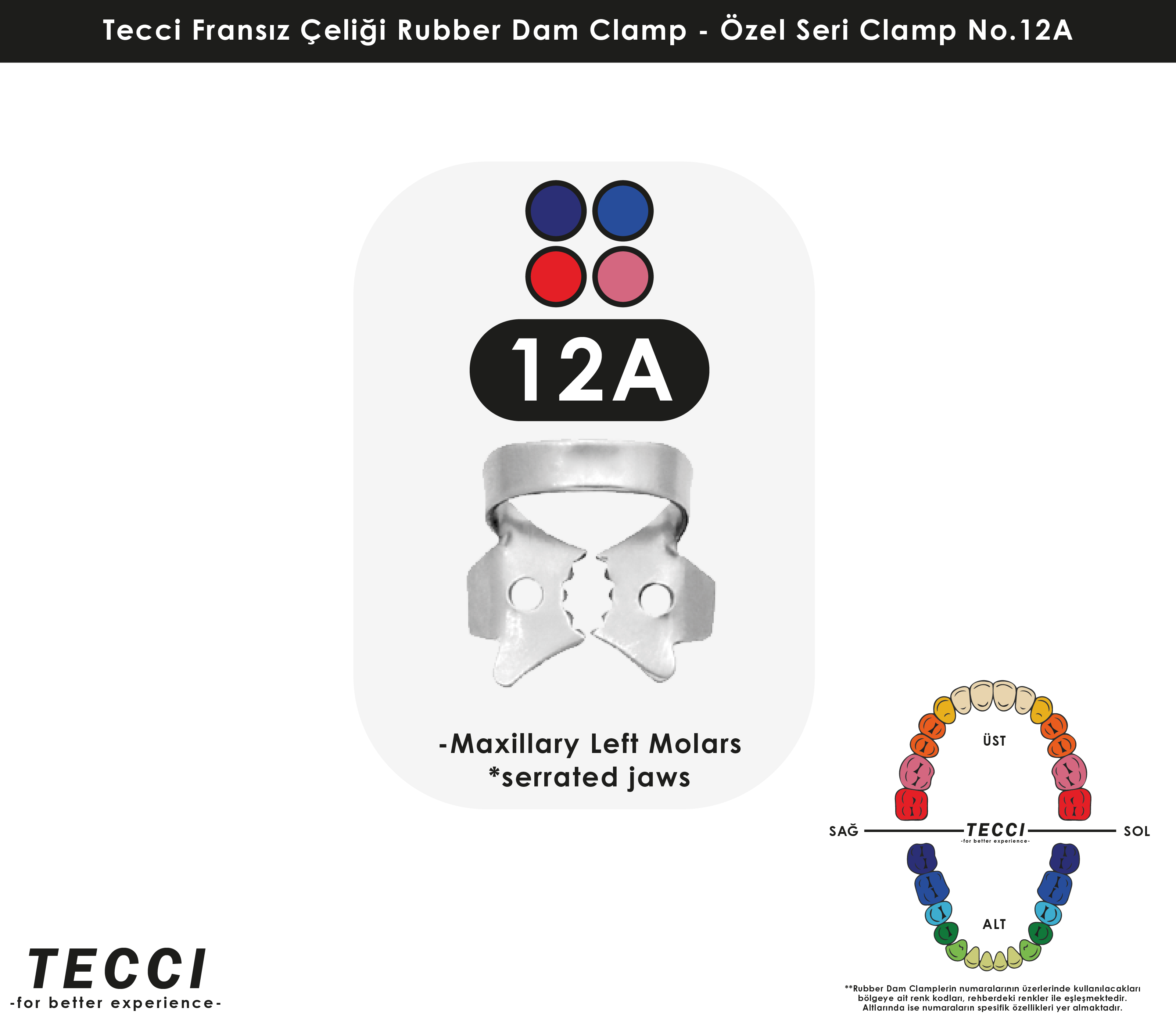 Tecci Fransız Çeliği Rubber Dam Clamp - No.12A