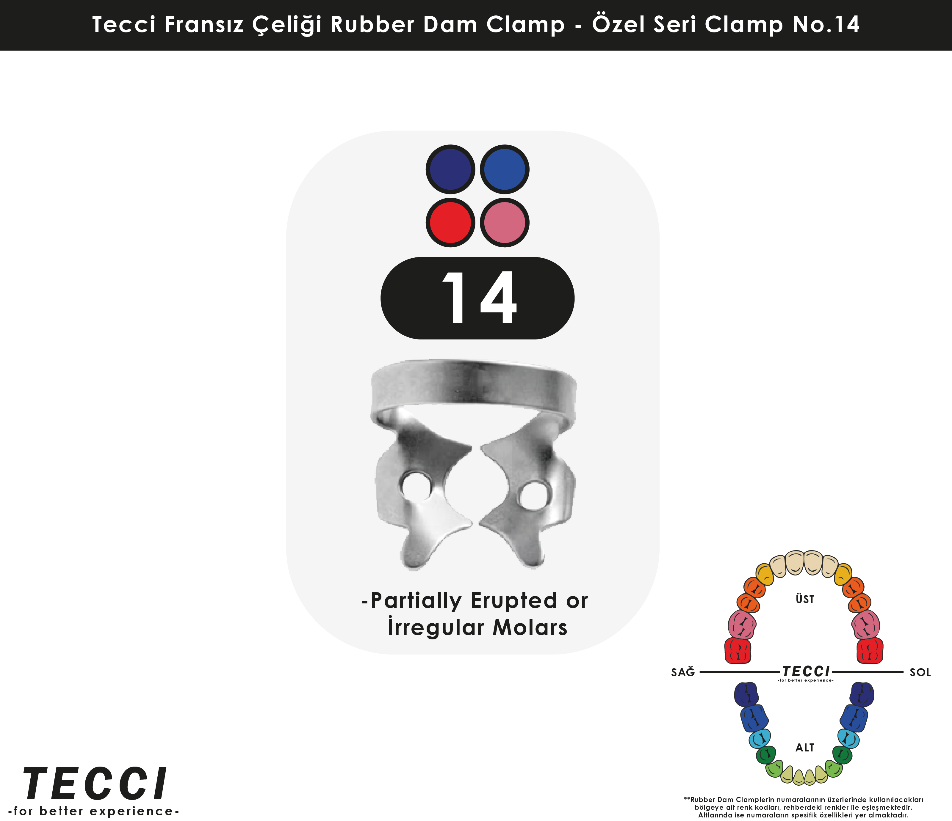 Tecci Fransız Çeliği Rubber Dam Clamp - No.14