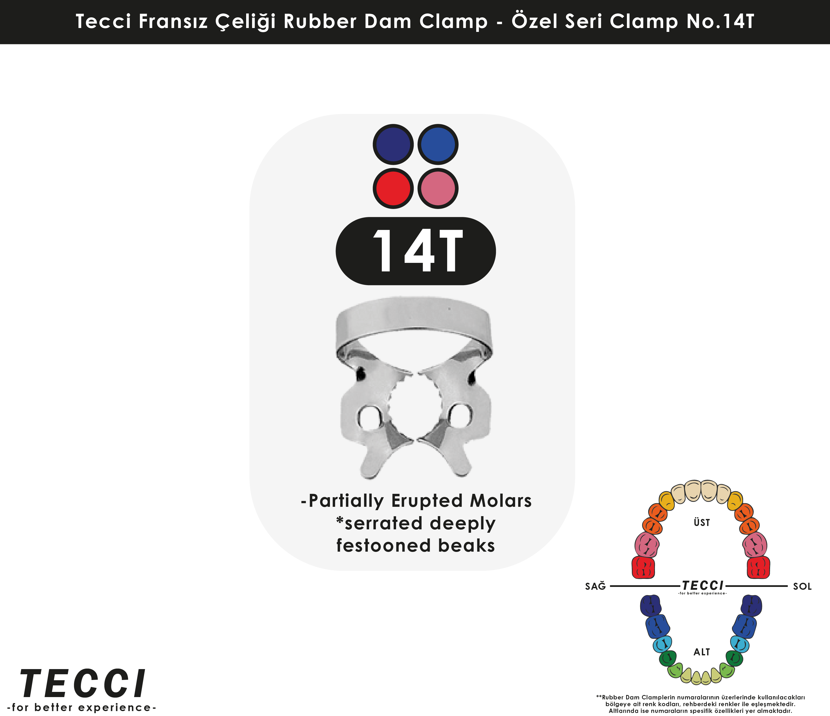Tecci Fransız Çeliği Rubber Dam Clamp - No.14T