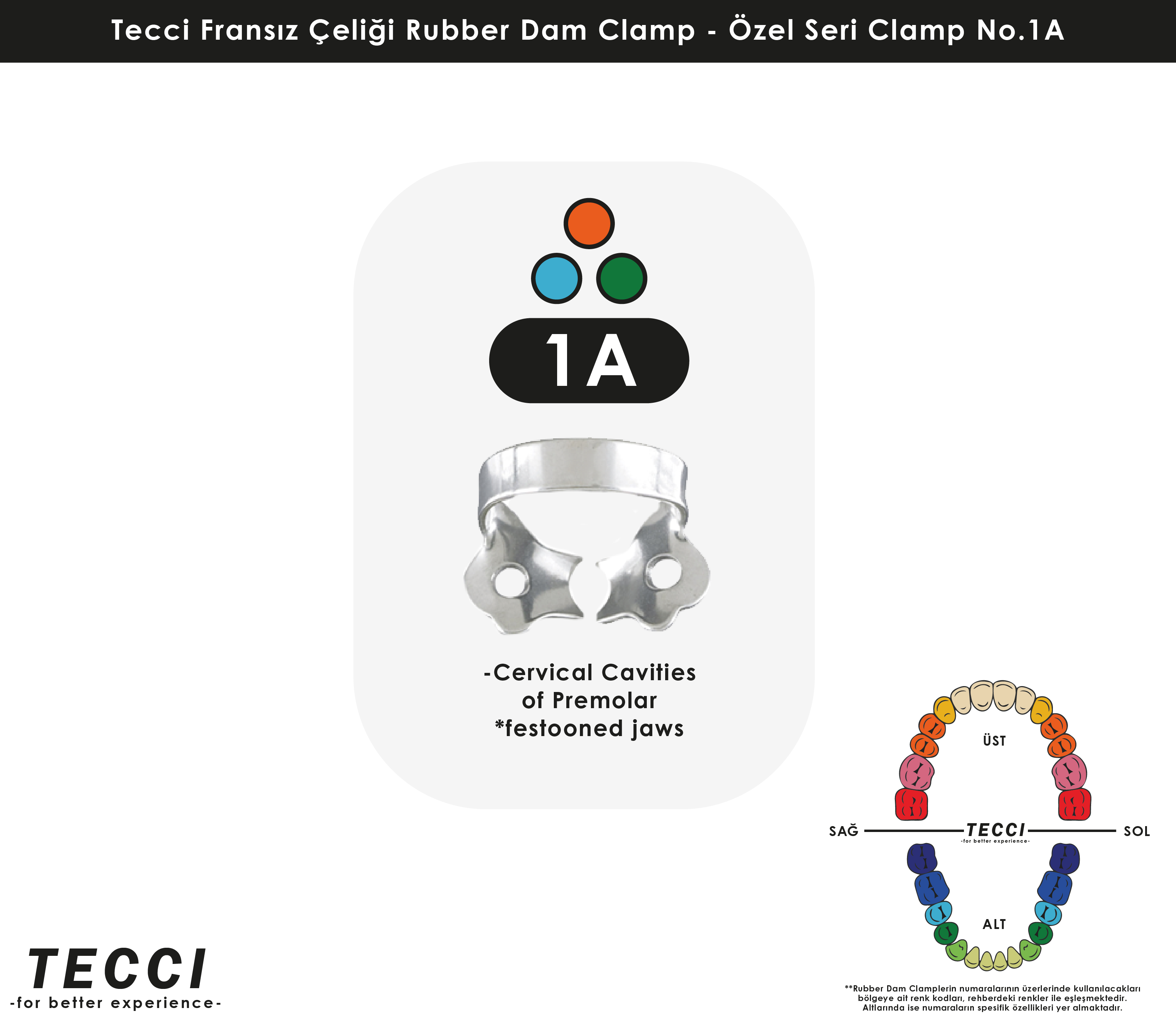 Tecci Fransız Çeliği Rubber Dam Clamp - No.1A