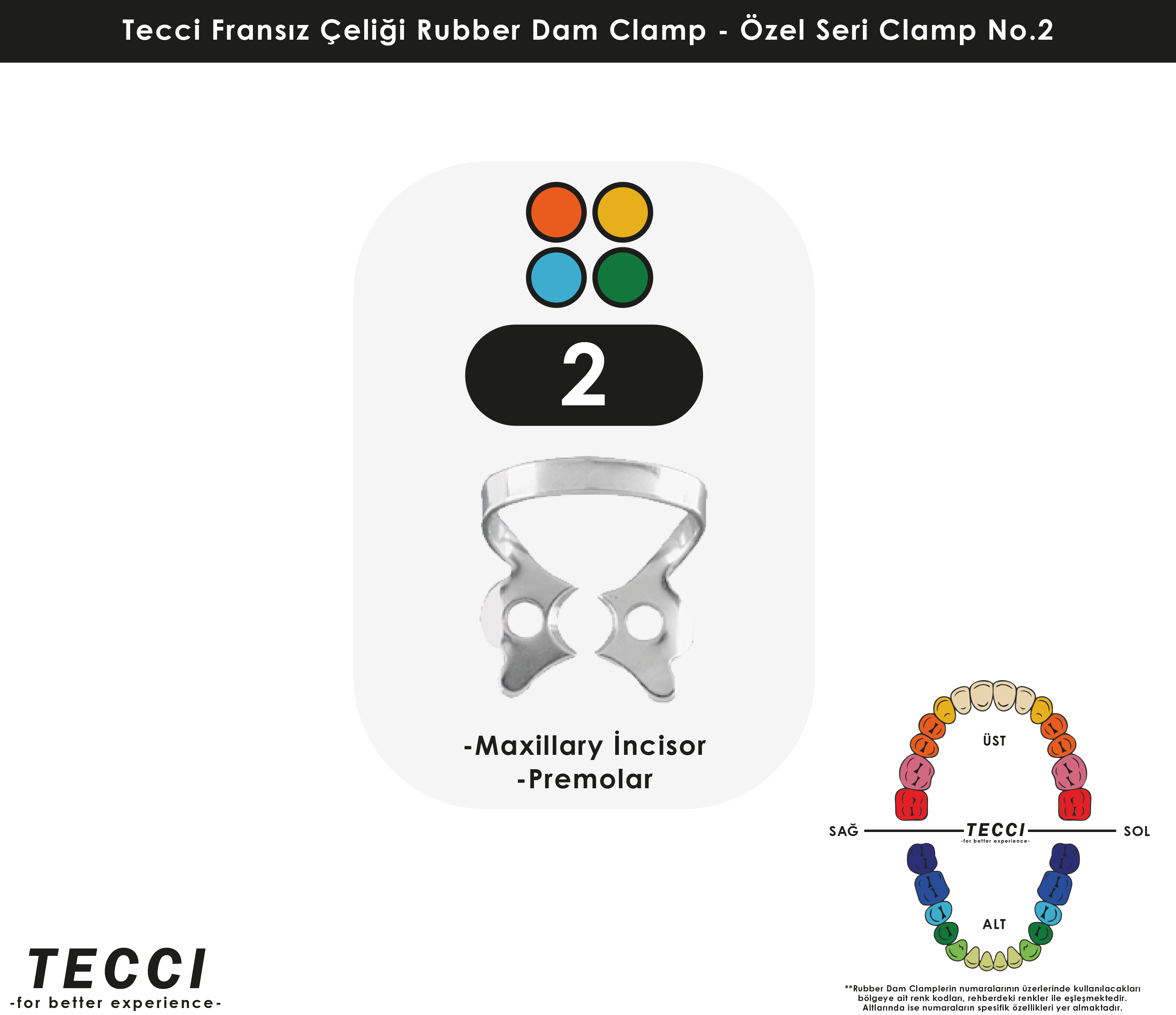 Tecci Fransız Çeliği Rubber Dam Clamp - No.2