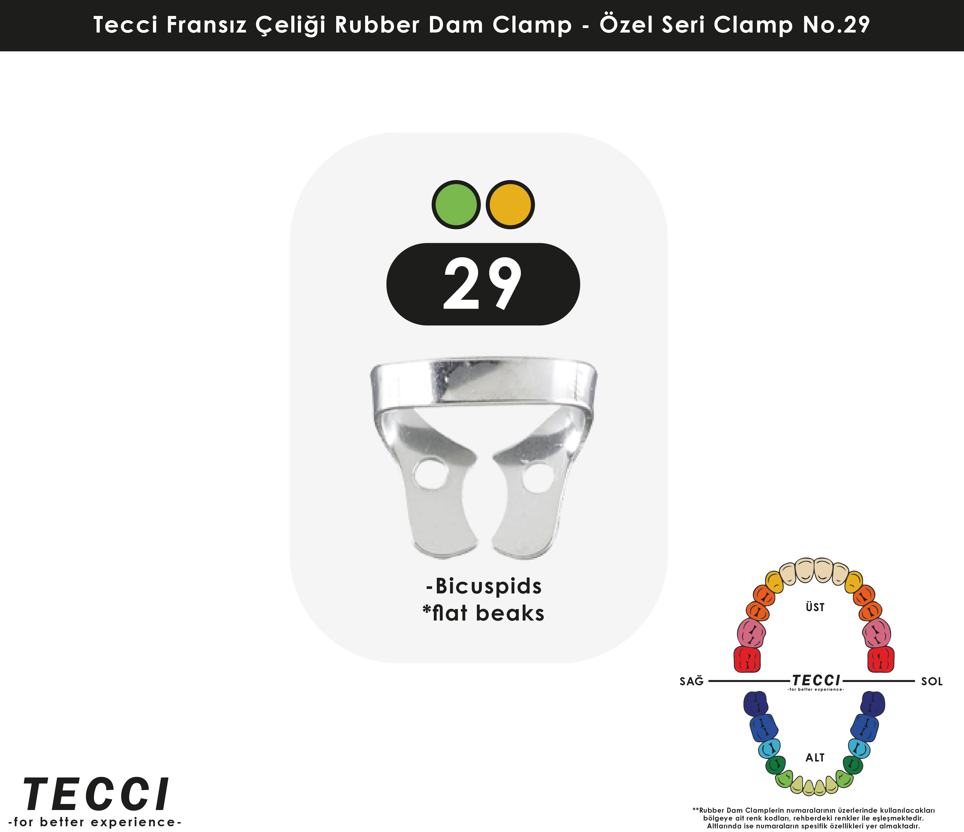 Tecci Fransız Çeliği Rubber Dam Clamp - No.29