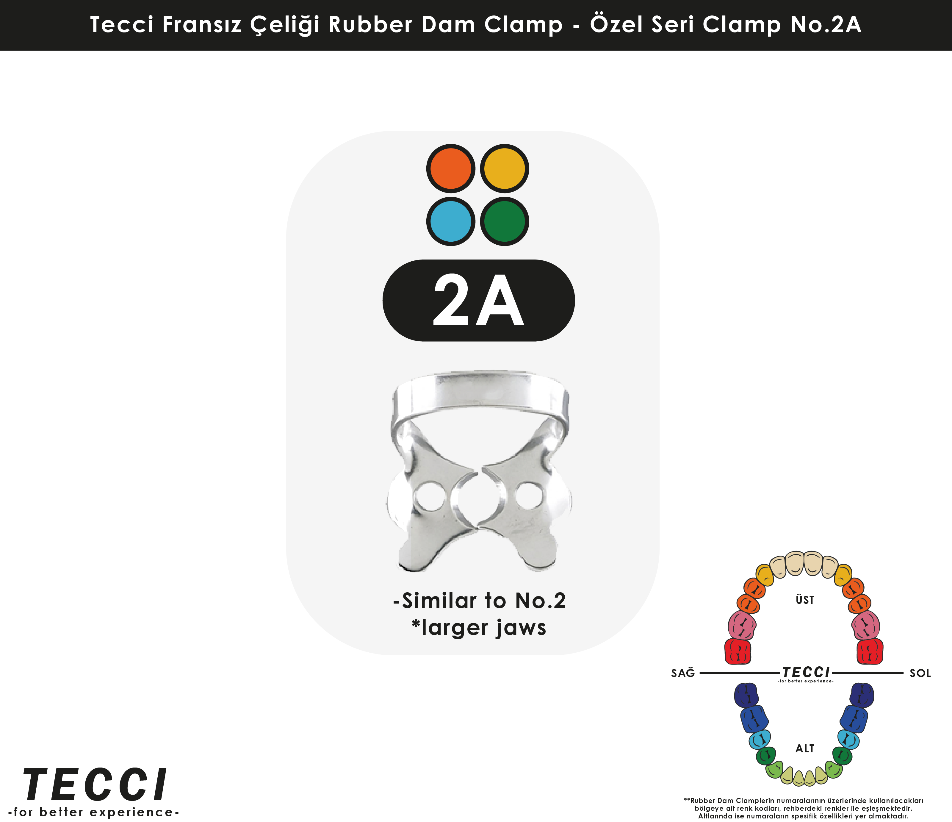 Tecci Fransız Çeliği Rubber Dam Clamp - No.2A