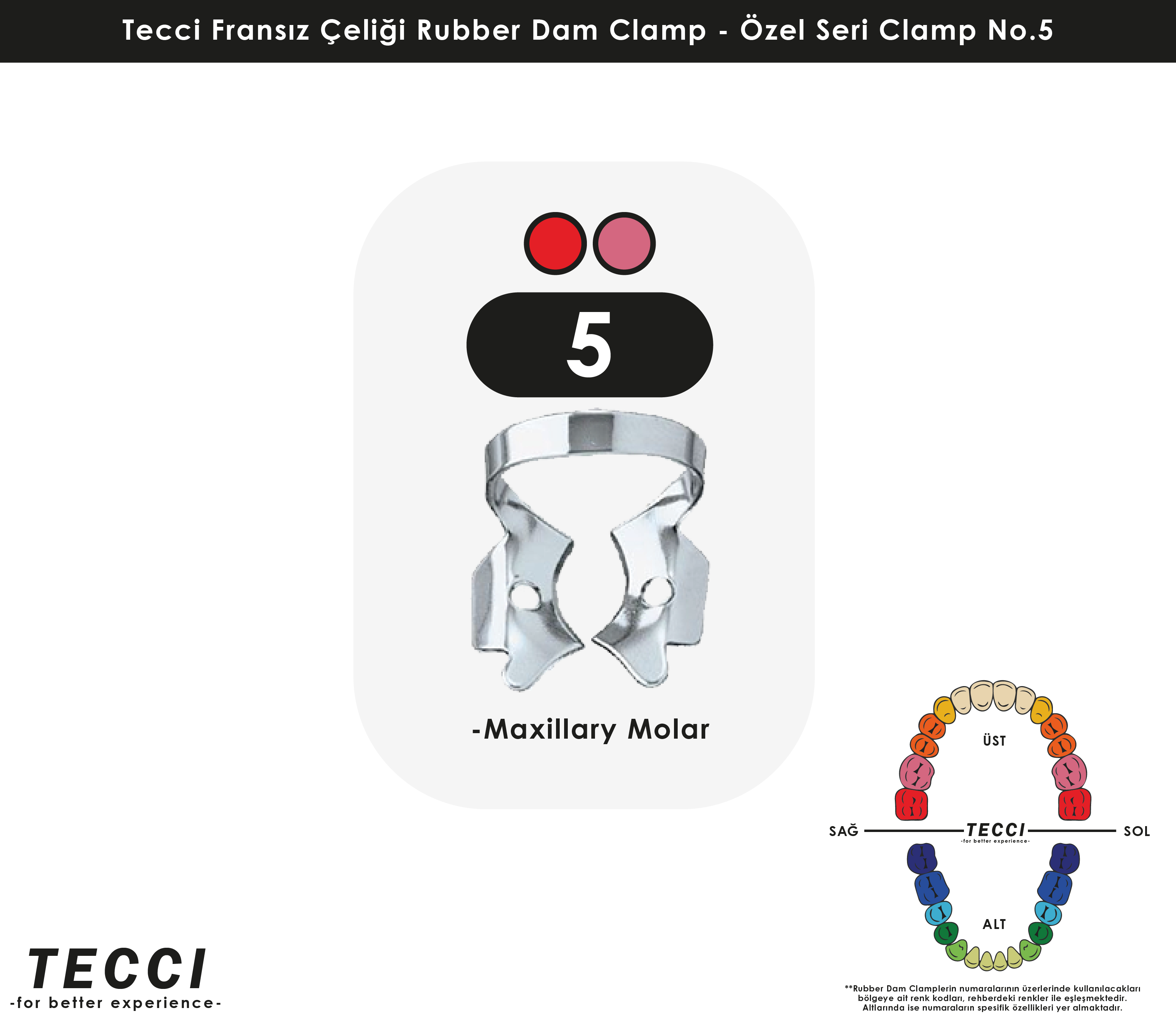 Tecci Fransız Çeliği Rubber Dam Clamp - No.5