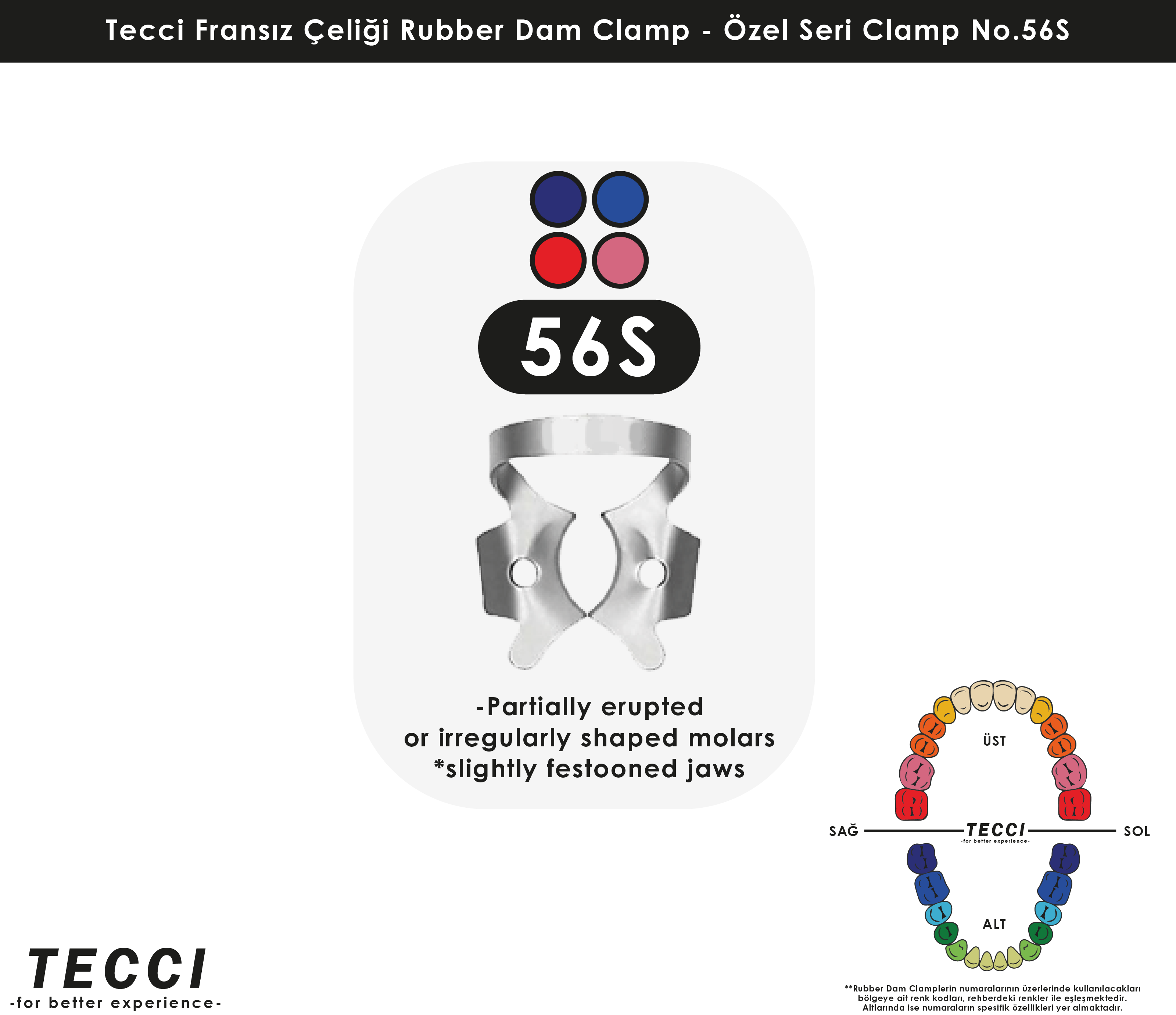 Tecci Fransız Çeliği Rubber Dam Clamp - No.56S