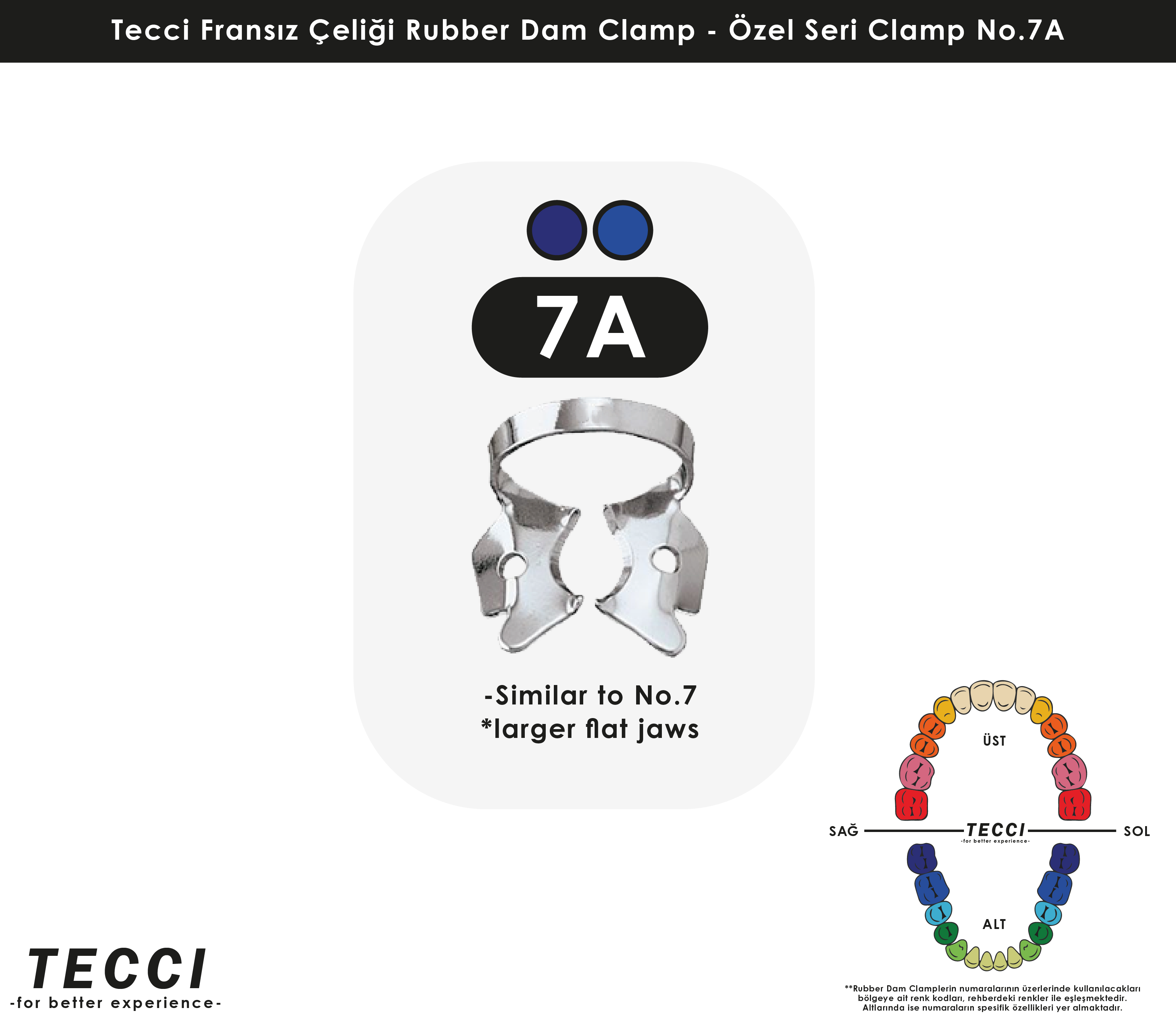 Tecci Fransız Çeliği Rubber Dam Clamp - No.7A