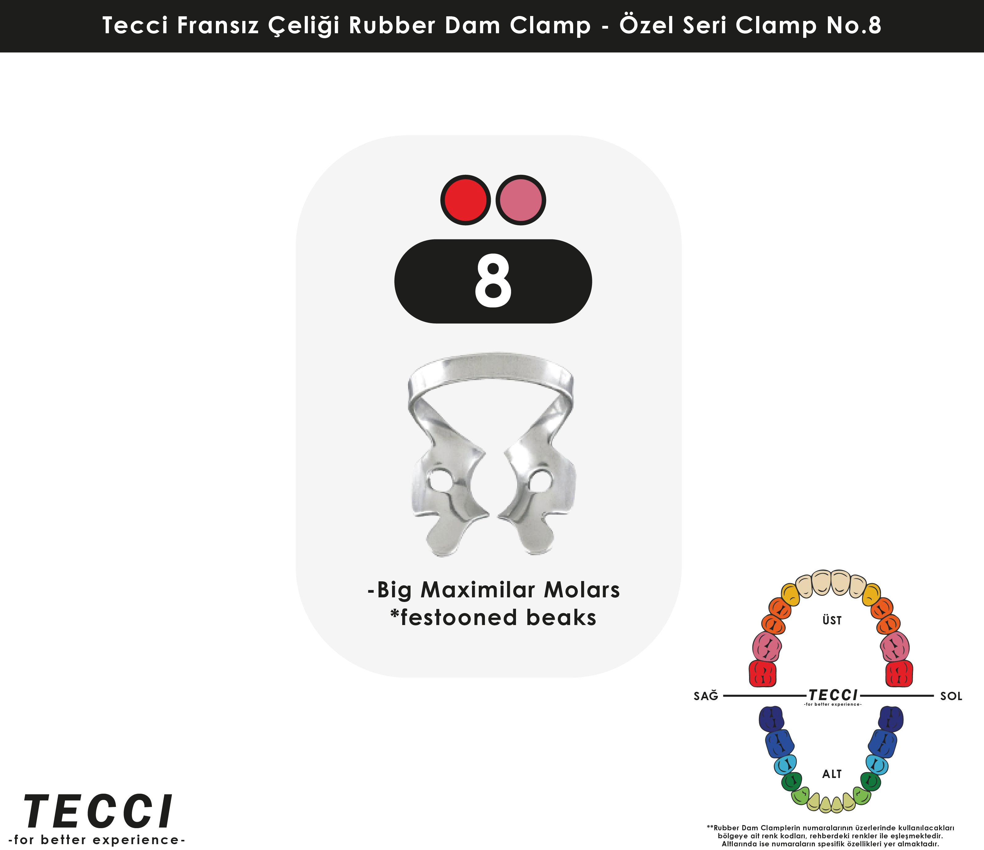 Tecci Fransız Çeliği Rubber Dam Clamp - No.8