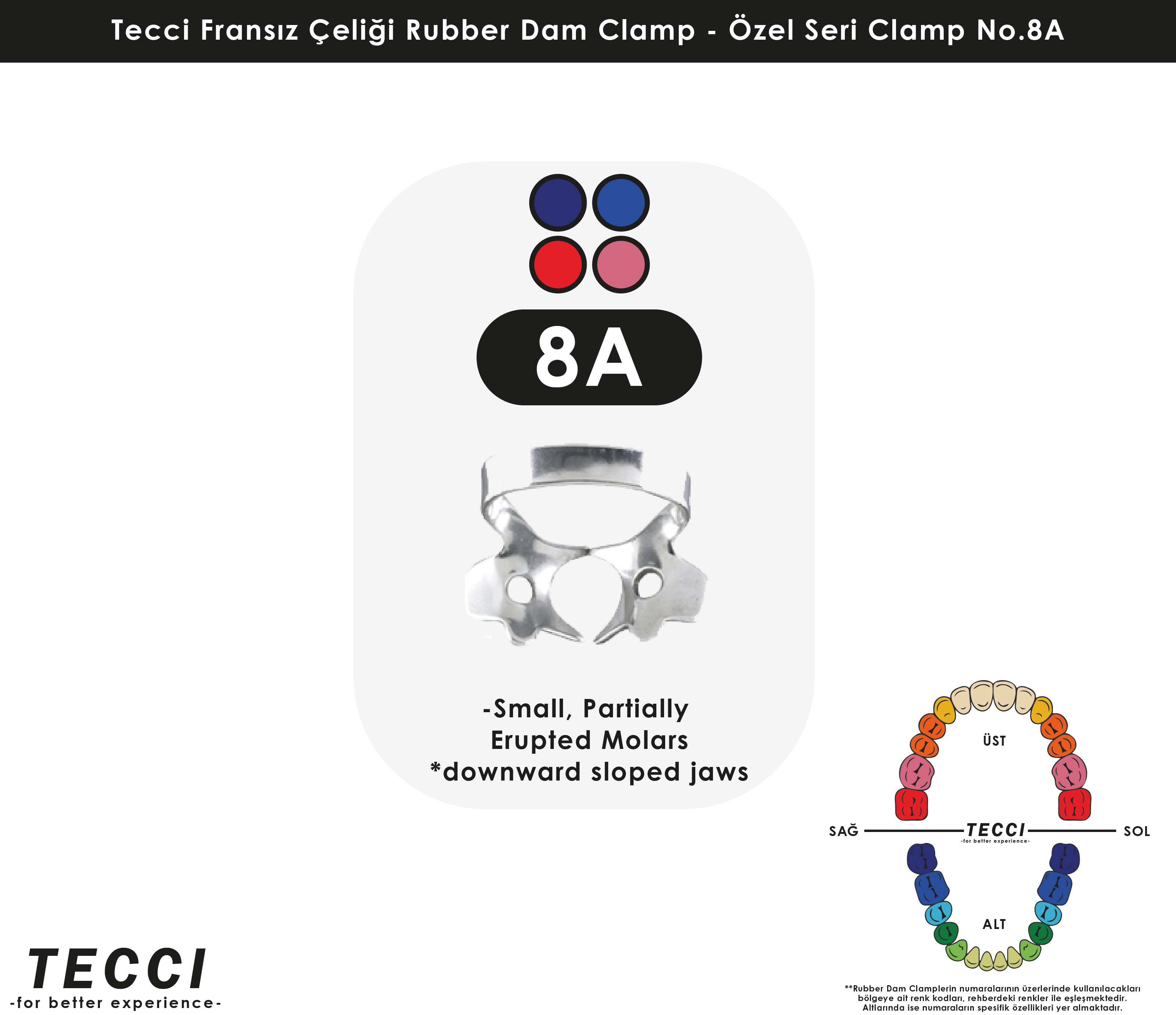 Tecci Fransız Çeliği Rubber Dam Clamp - No.8A