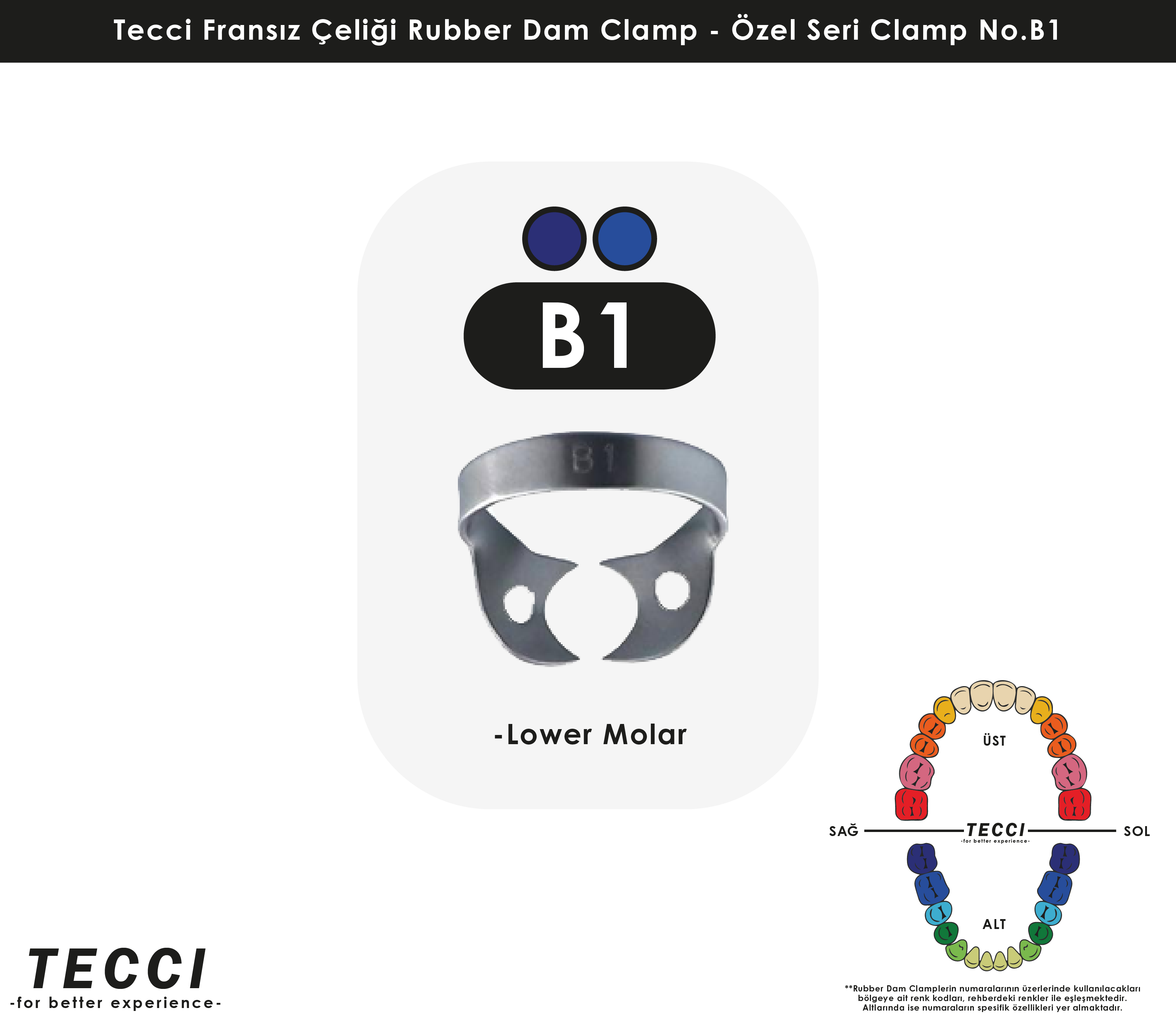 Tecci Fransız Çeliği Rubber Dam Clamp - No.B1