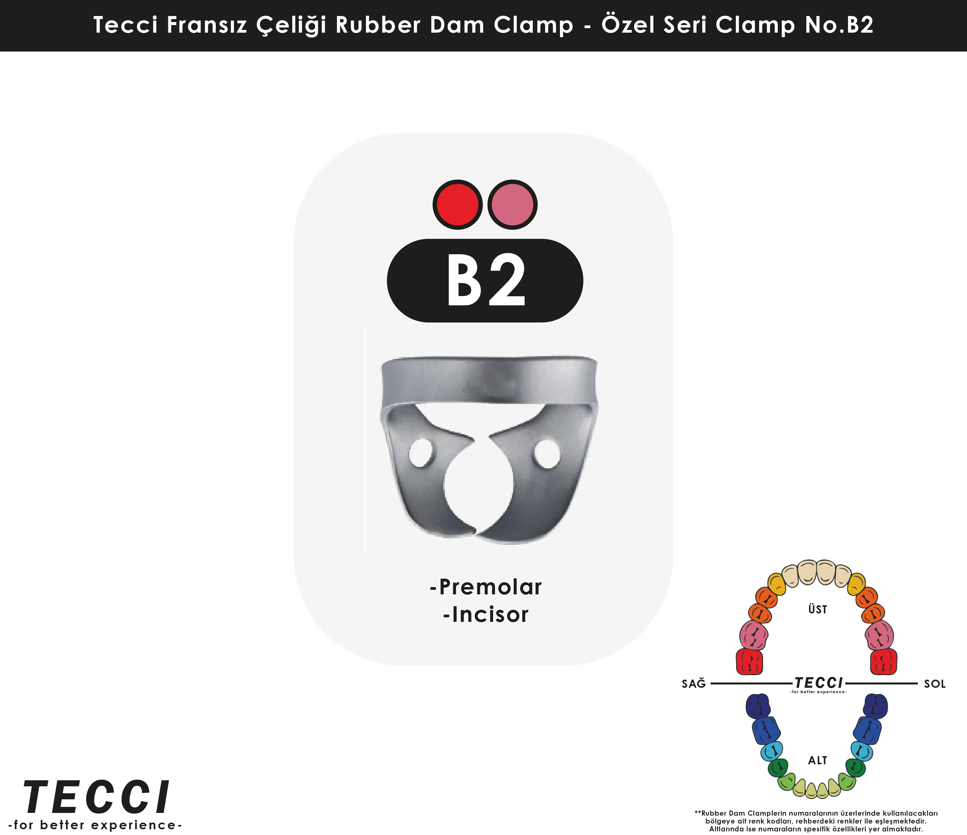 Tecci Fransız Çeliği Rubber Dam Clamp - No.B2