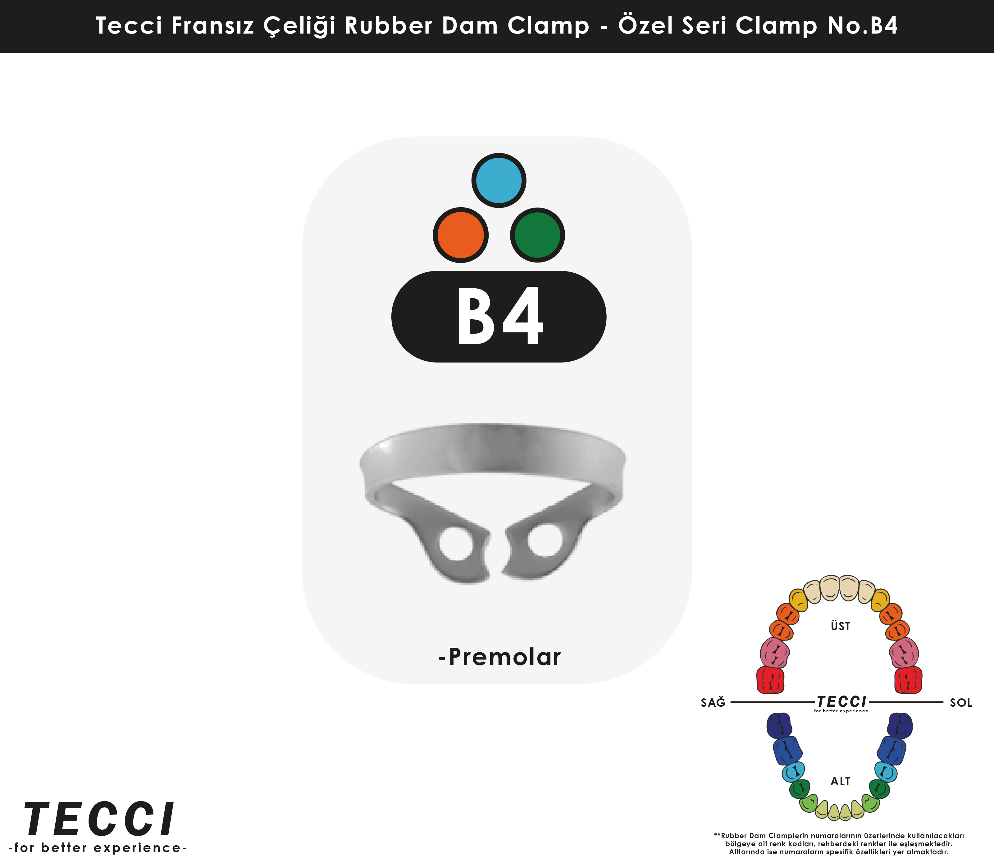 Tecci Fransız Çeliği Rubber Dam Clamp - No.B4