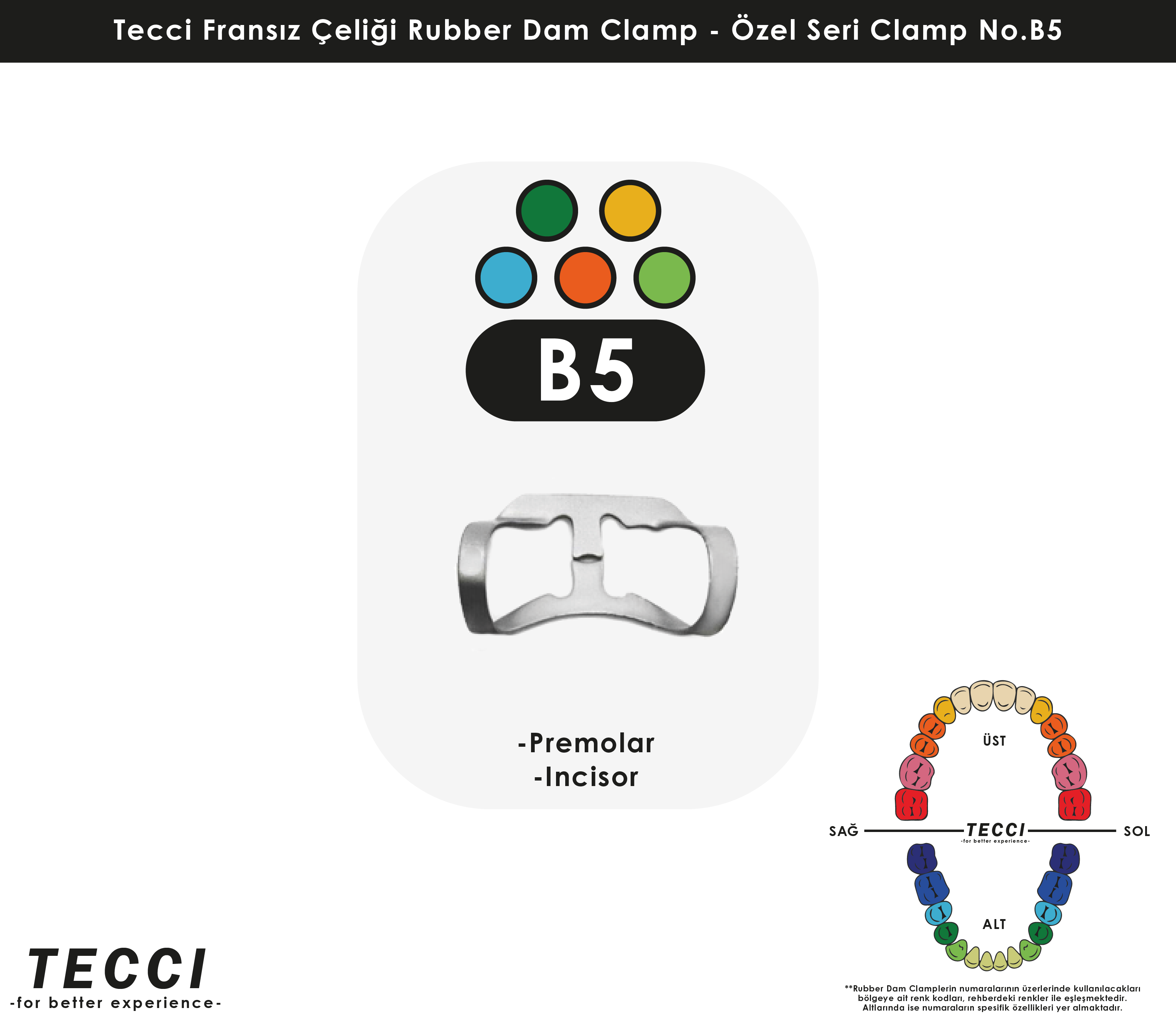 Tecci Fransız Çeliği Rubber Dam Clamp - No.B5