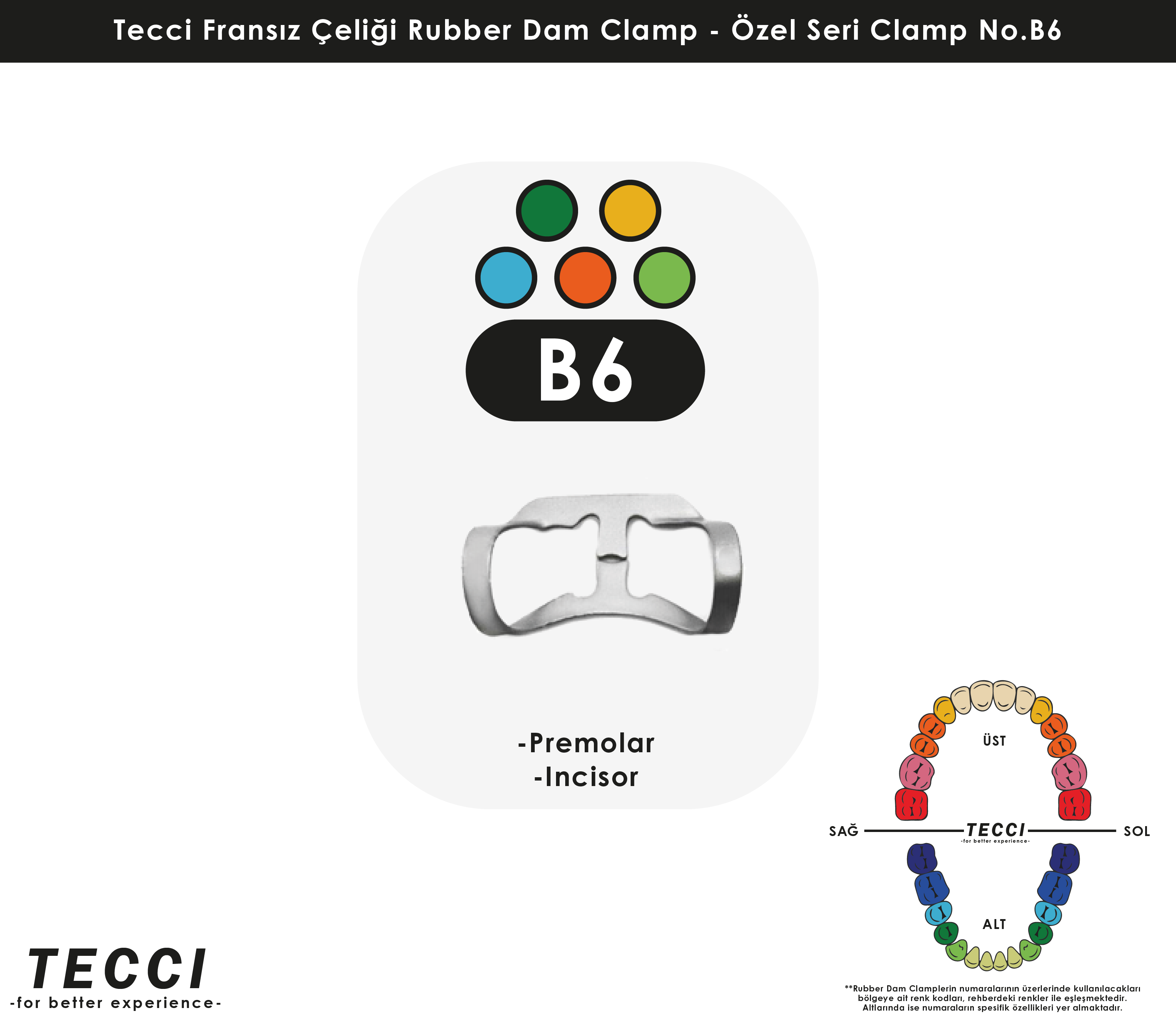 Tecci Fransız Çeliği Rubber Dam Clamp - No.B6