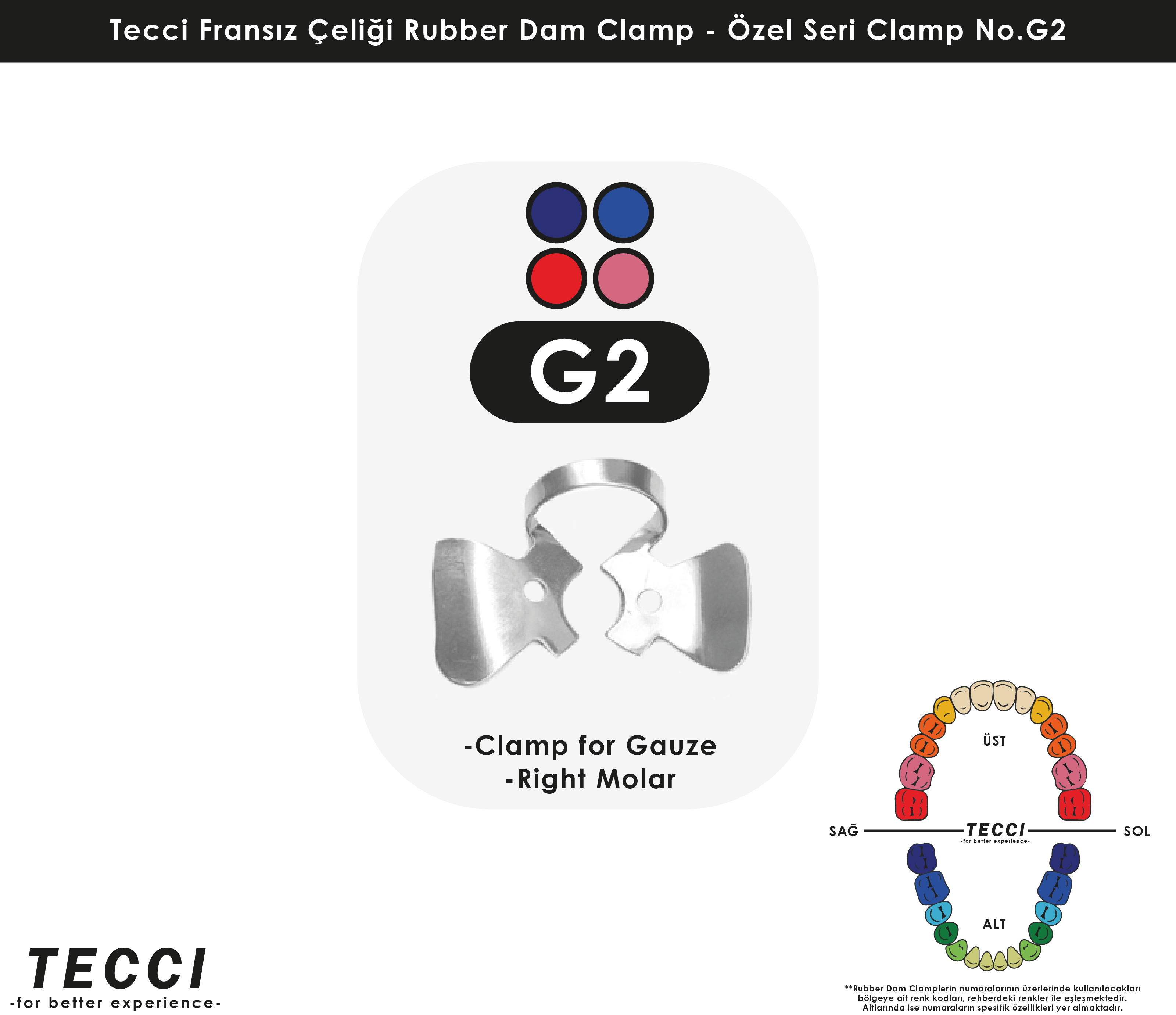 Tecci Fransız Çeliği Rubber Dam Clamp - No.G2