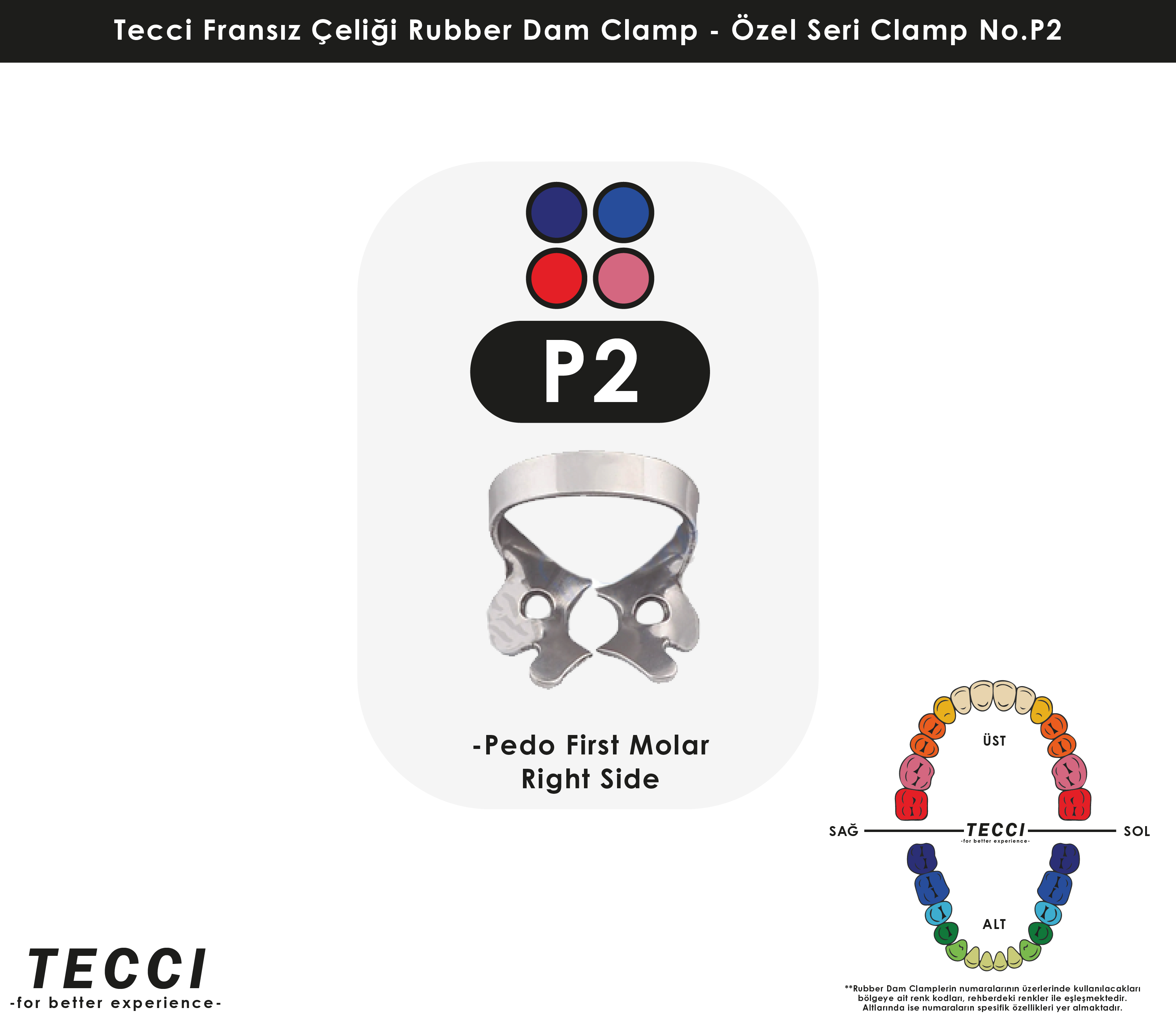 Tecci Fransız Çeliği Rubber Dam Clamp - No.P2