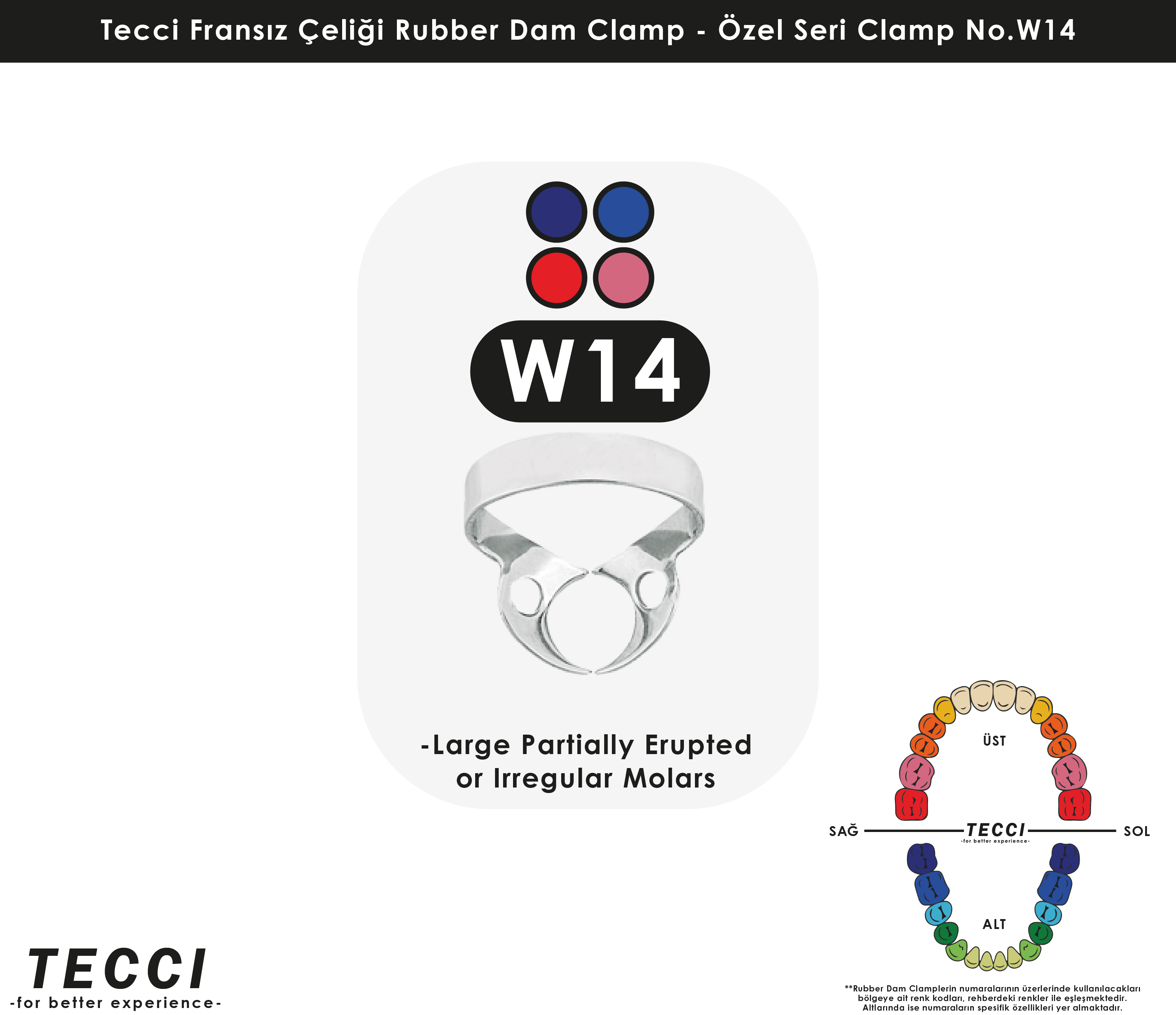 Tecci Fransız Çeliği Rubber Dam Clamp - No.W14