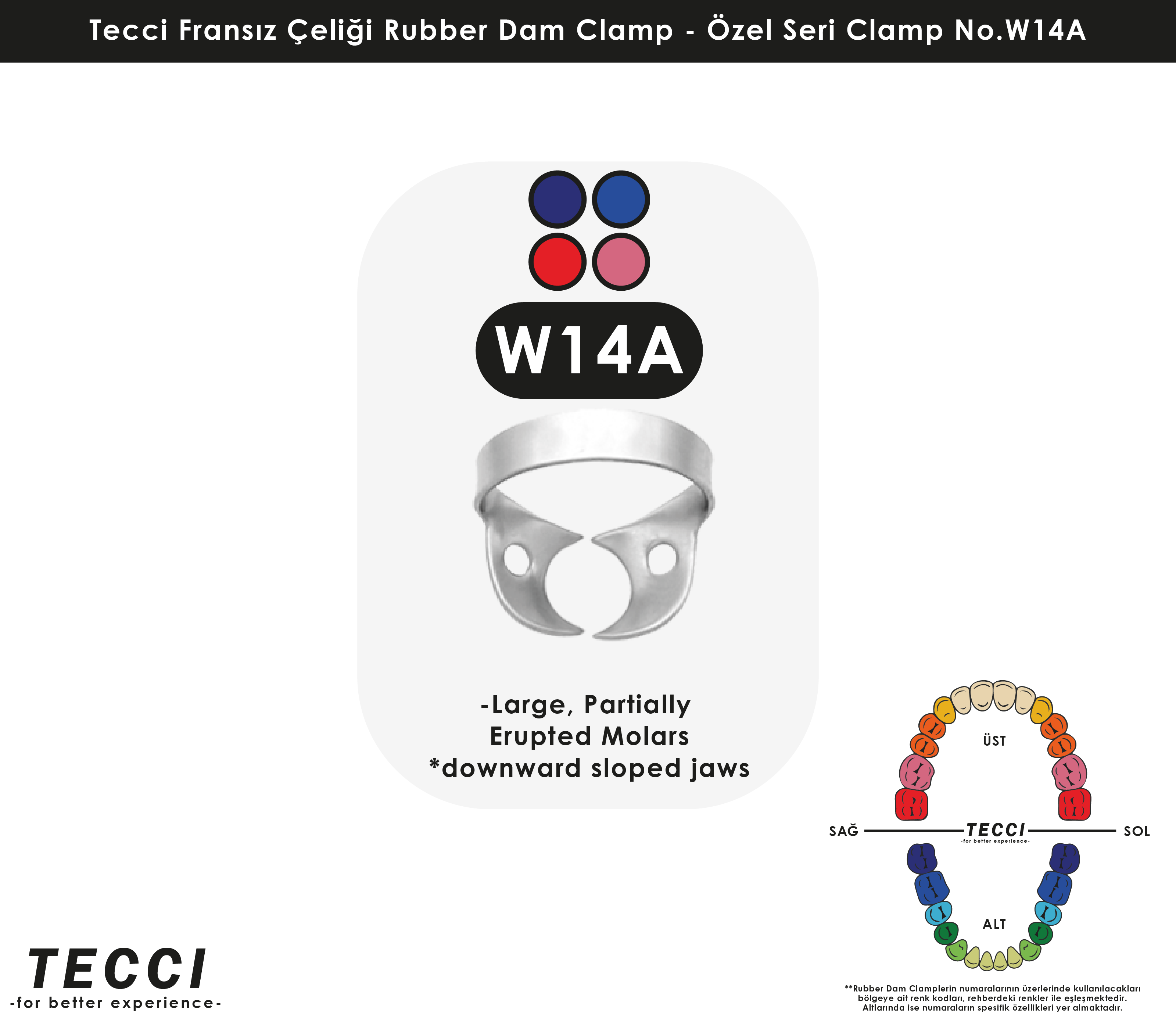Tecci Fransız Çeliği Rubber Dam Clamp - No.W14A