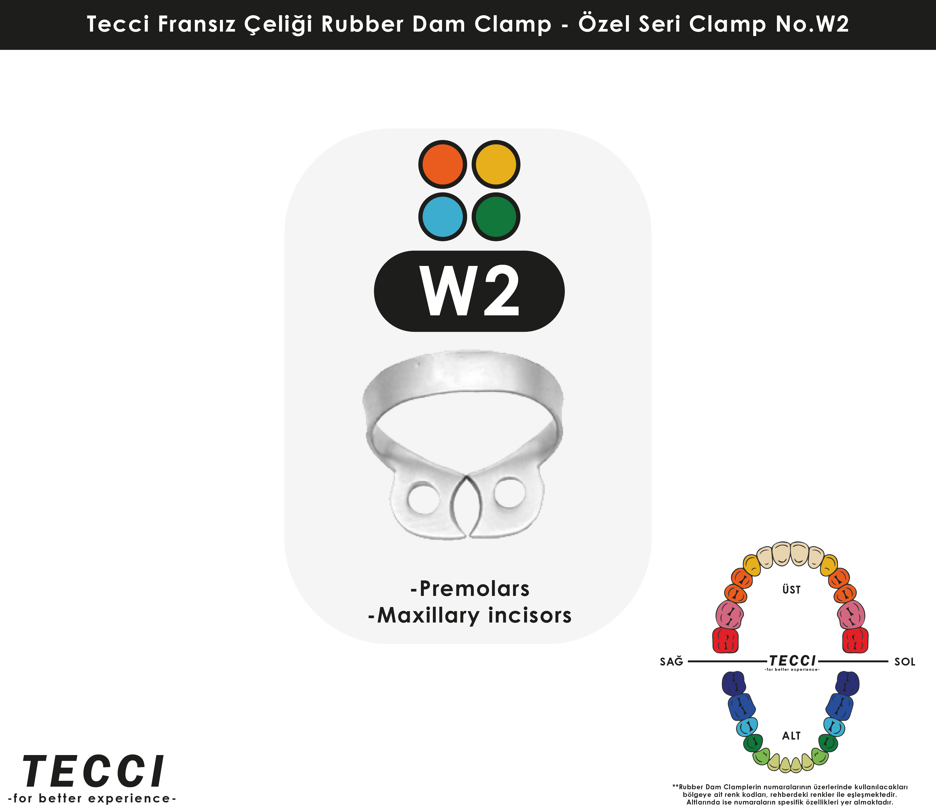 Tecci Fransız Çeliği Rubber Dam Clamp - No.W2