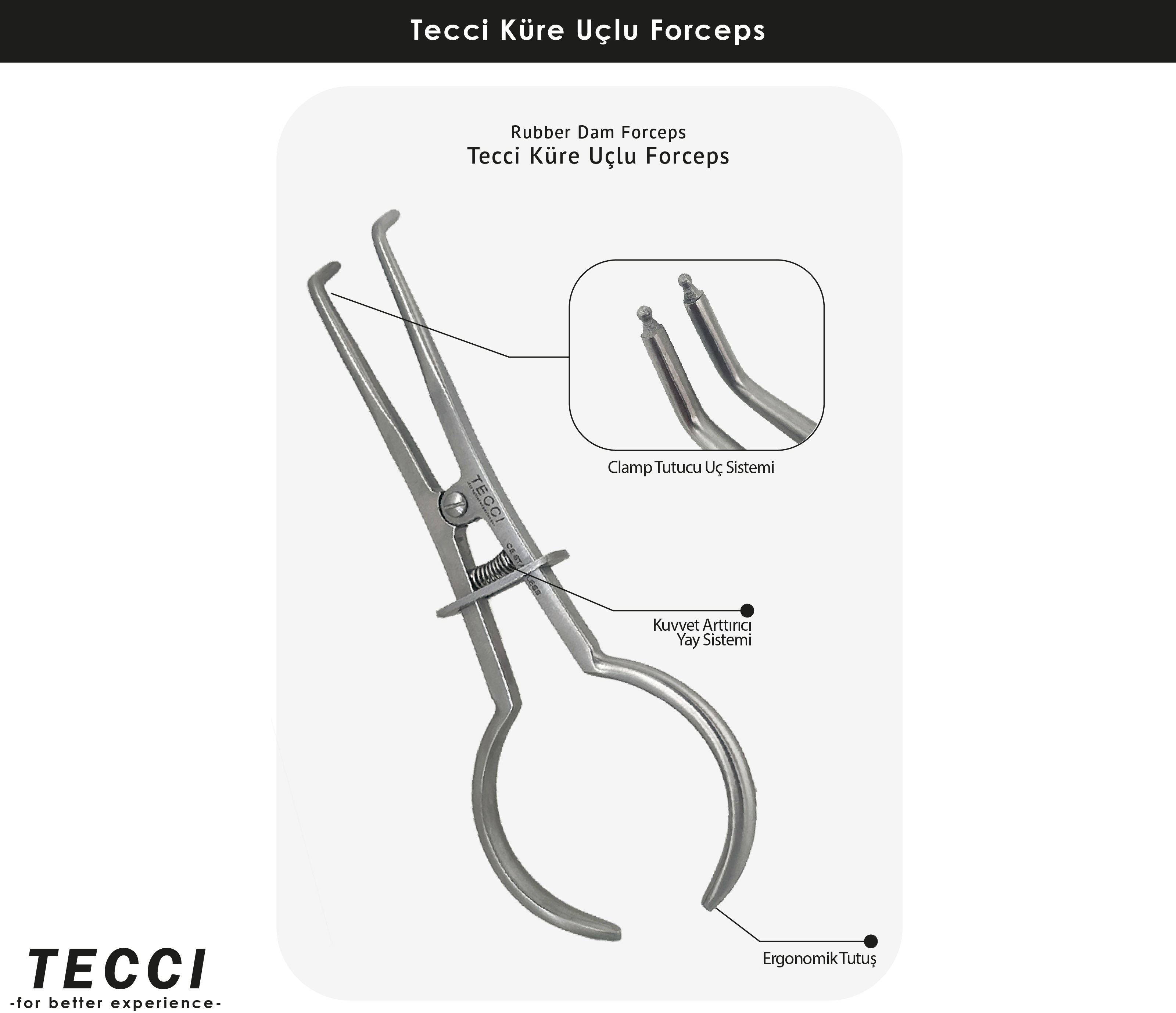Tecci Küre Uçlu Rubber Dam Forceps