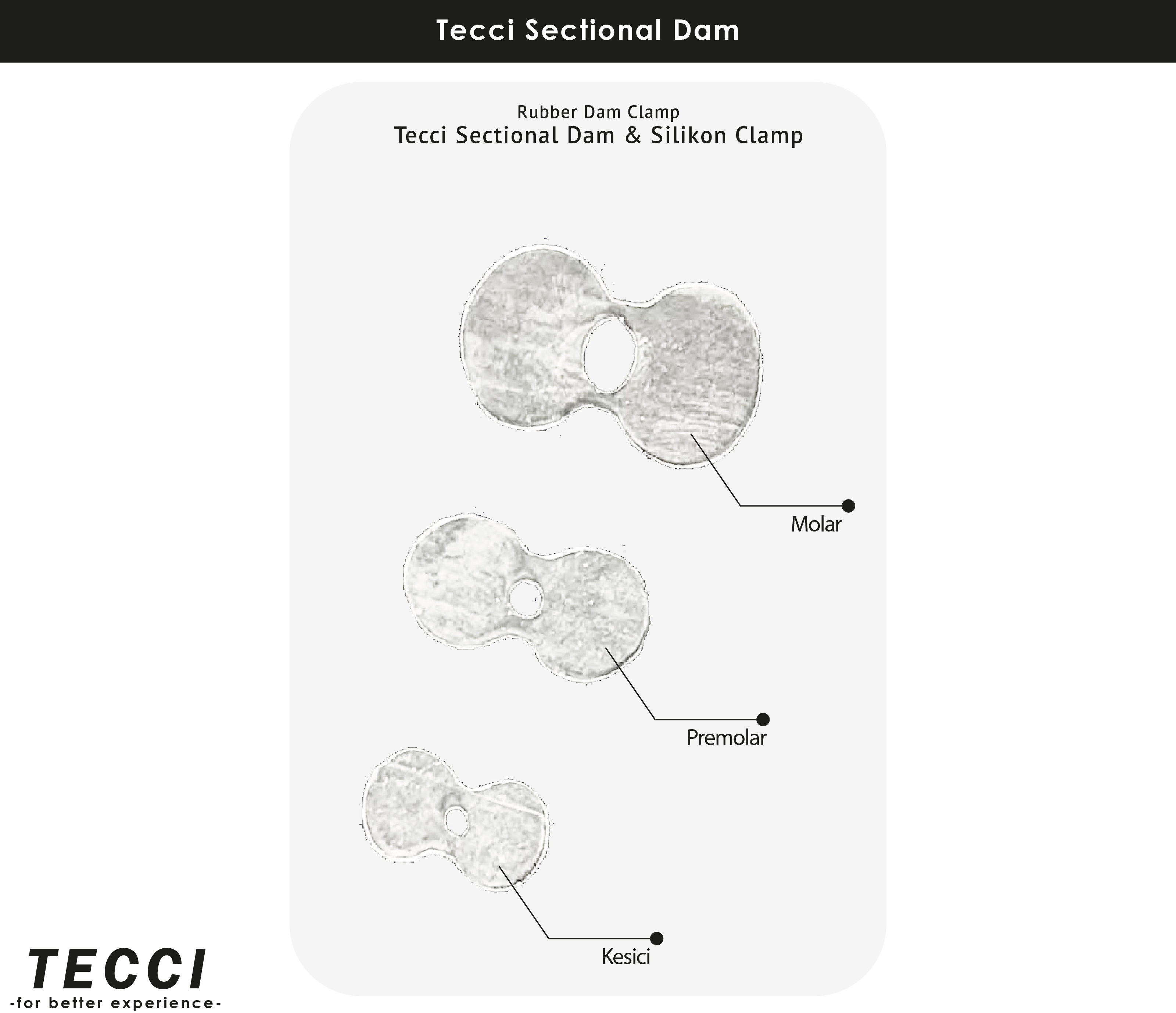 Tecci Sectional Dam