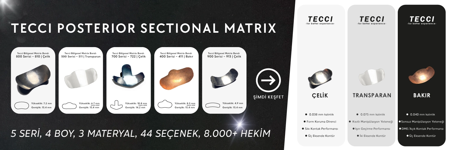 Tecci Posterior Bölgesel Matrix Sistemleri